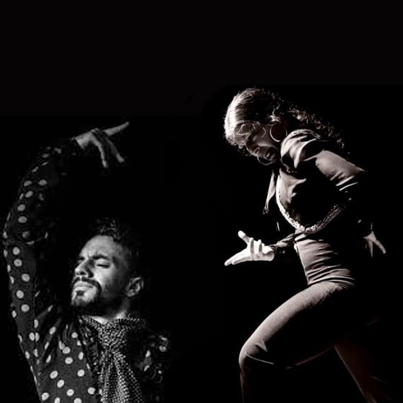 Programación Tablao Flamenco  Las Tablas del 1 y del 4 al 7 de noviembre